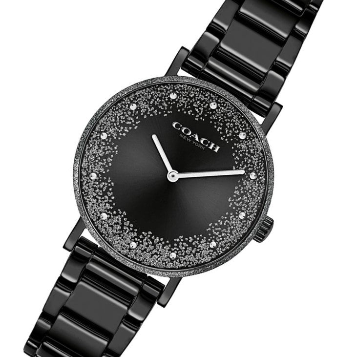 Coach Ionic Plated Black Steel Black Dial Ladies Watch