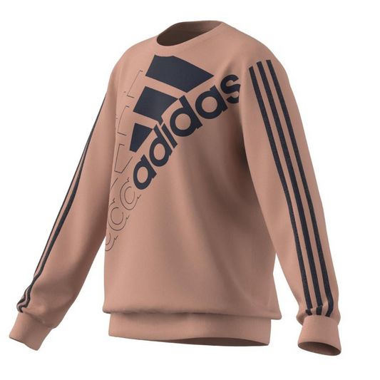 Adidas Child Sweatshirt Essential Logo