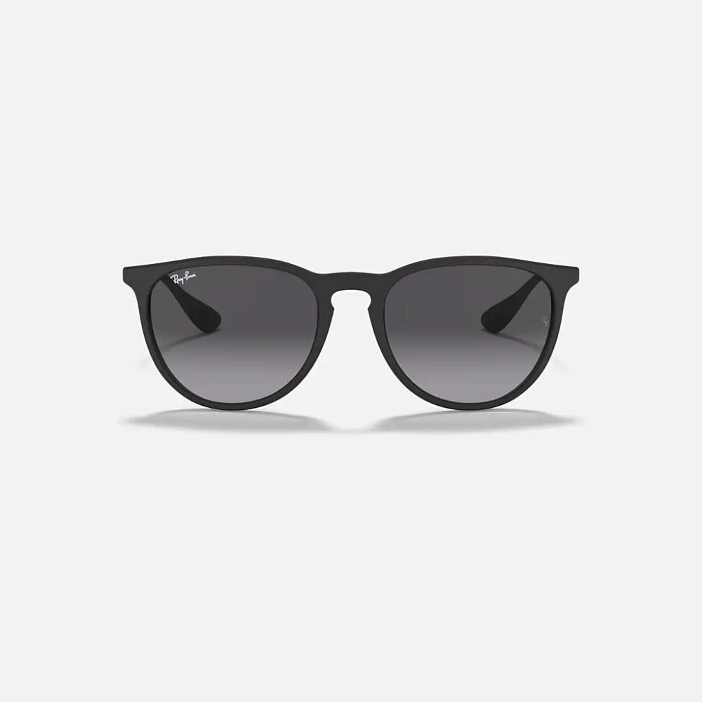 Ray-Ban Erika Classic Matte Black