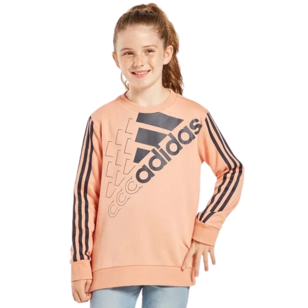Adidas Child Sweatshirt Essential Logo