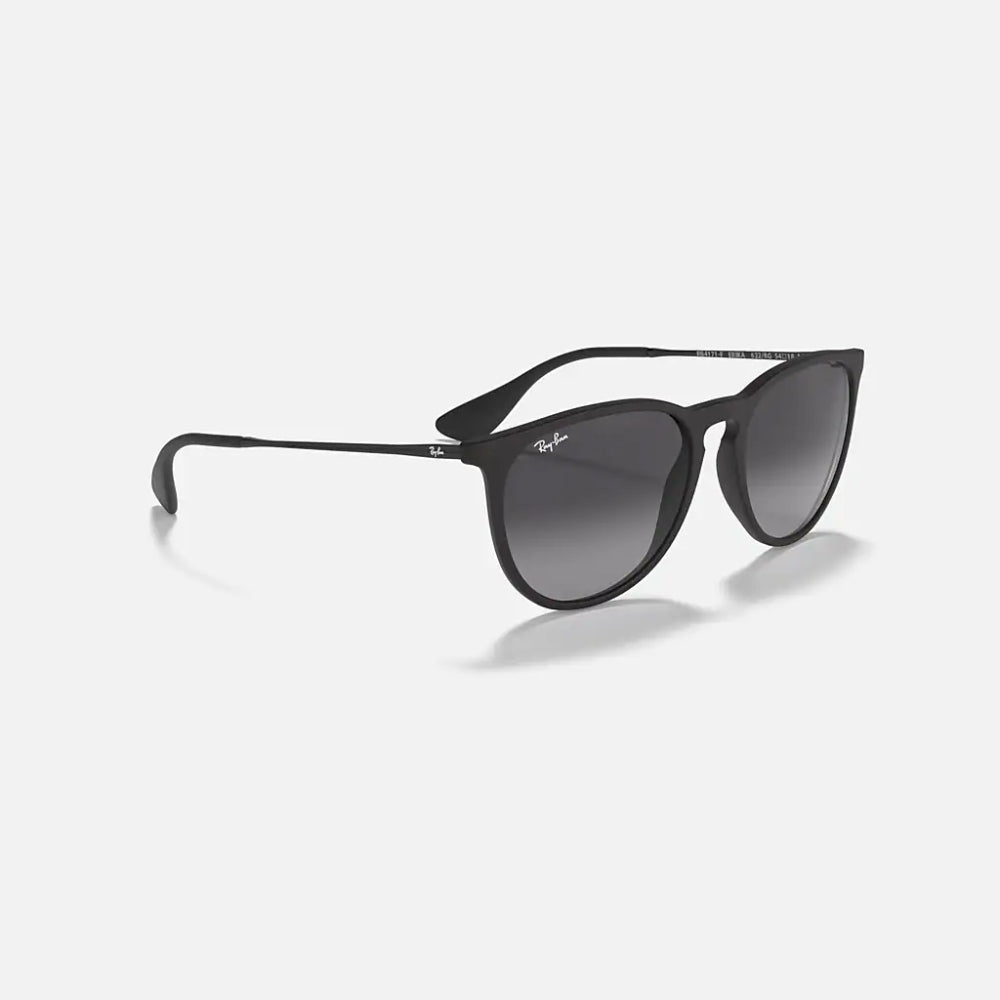 Ray-Ban Erika Classic Matte Black