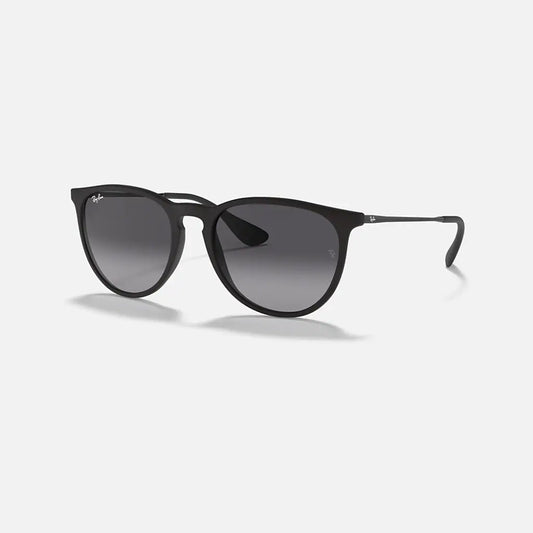 Ray-Ban Erika Classic Matte Black